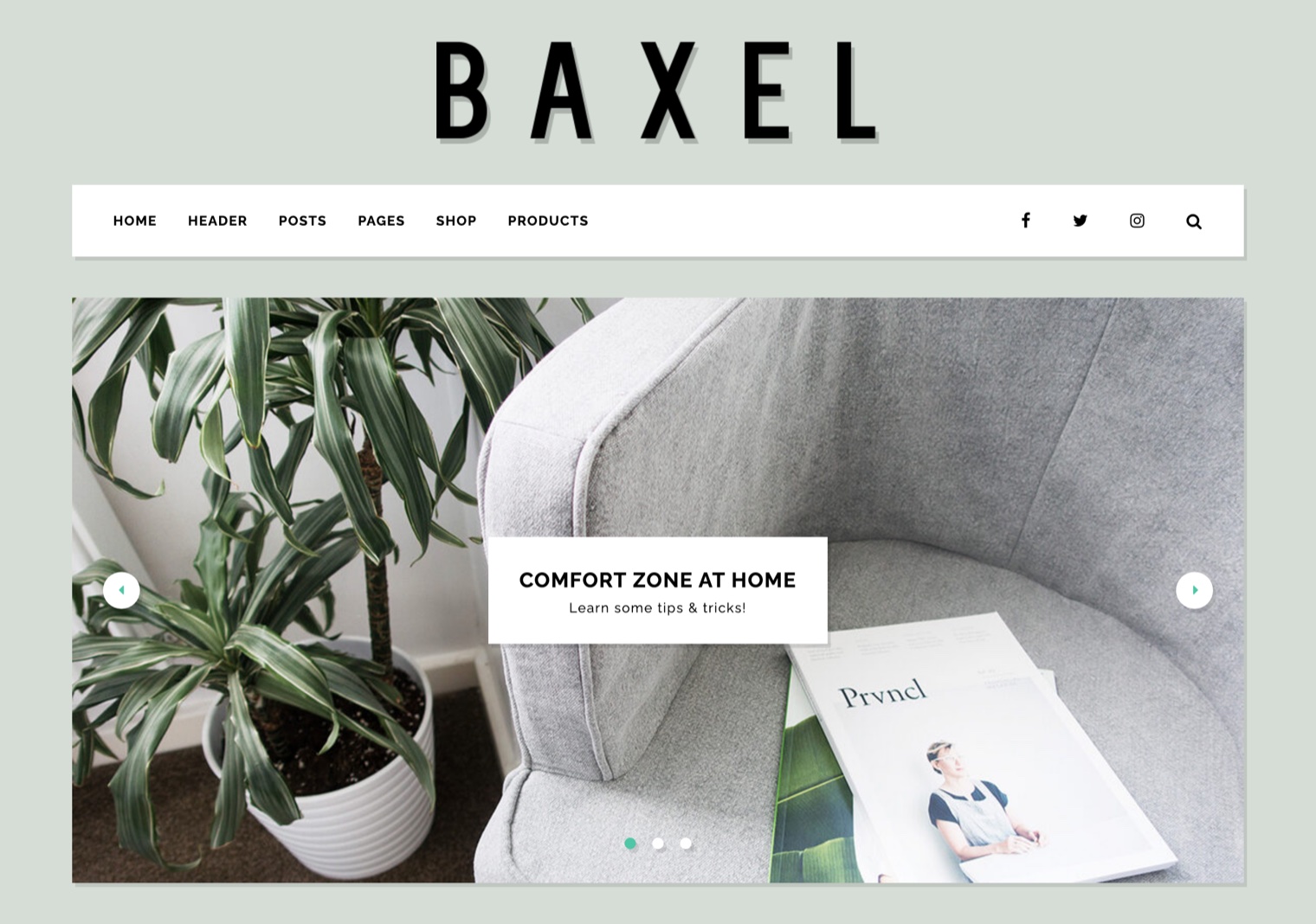 Baxel theme demo